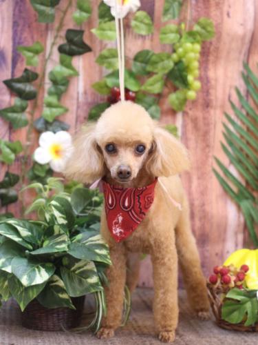 20230818リールちゃん